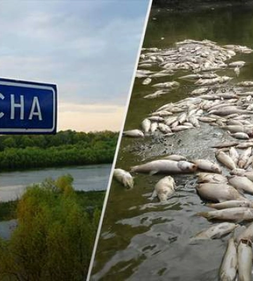 Росіяни завдали збитків річкам Сейм та Десна на сотні мільйонів гривень: які масштаби забруднень