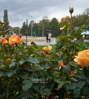 Новини Харкова – головне за 17 жовтня: як минула ніч