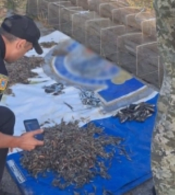 Наловив креветок, крабів та бичків на майже 200 тисяч гривень: судитимуть браконьєра з Білгород-Дністровського району