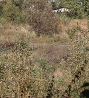 У Львові на Сихові облаштують парк у пам’ять про полеглих Героїв