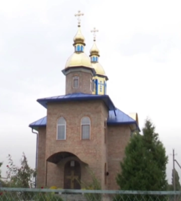 У селі на Волині жінка виростила королівство хризантем