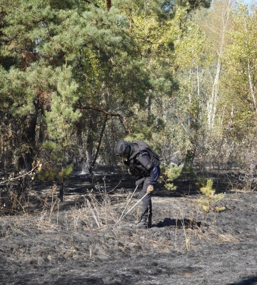 Два відділення волинських саперів продовжують розміновувати Донеччину