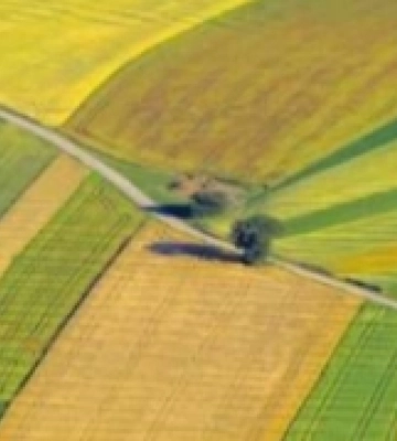 У власність громади на Миколаївщині повернули земельну ділянку природно-заповідного фонду