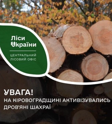 На Кіровоградщині активізувались дровʼяні шахраї