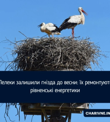 Лелеки залишили гнізда до весни: їх ремонтують рівненські енергетики