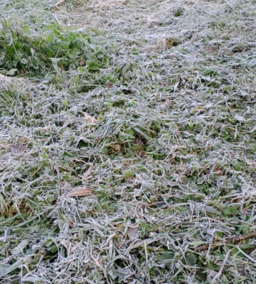 Якою буде погода на Івано-Франківщині 18 жовтня