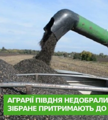 Аграрії півдня недобрали соняшнику. Зібране притримають до кращої ціни