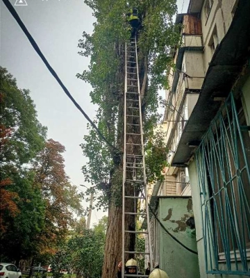В Одесі вогнеборці врятували кота
