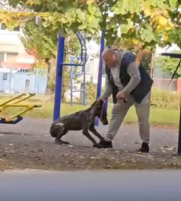 У Черкасах чоловік жорстоко поводився з твариною, його розшукують