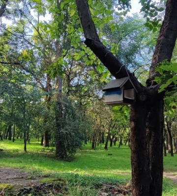 Одеській Дюківський парк: його історія, занепад та сучасність