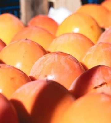 Где на этой неделе в Киеве пройдут продуктовые ярмарки. Адреса