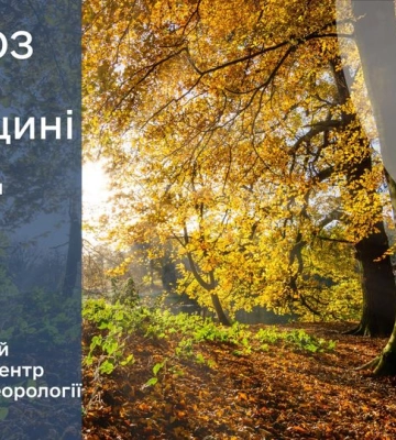 Коли в Україні випаде перший сніг: прогноз синоптика