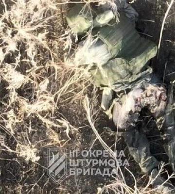 Воїни 3 ОШБр ліквідували російську піхоту скидами боєприпасів із дрона на Харківщині. ВIДЕО