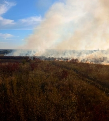 Під час пожежі в Луцькому районі згоріло 2,5 гектара трави
