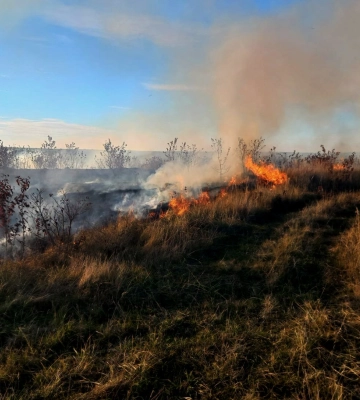 На Волині горіли господарські споруди та суха трава