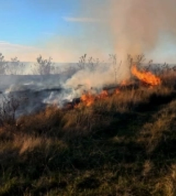 На Волині горіли господарські споруди та суха трава