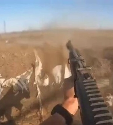 Бійці-іноземці із 28-ї ОМБр разом із українськими побратимами відбивають атаку ворожої штурмової групи поблизу Торецька. ВIДЕО бою