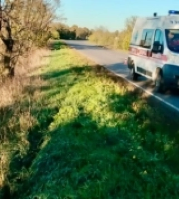 В Окнянській громаді мотоцикліст влетів у дерево та загинув на місці
