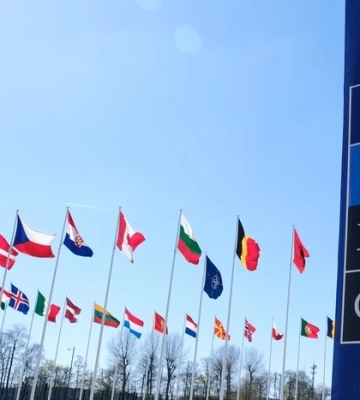 Сім країн-членів НАТО проти вступу України до альянсу – Politico