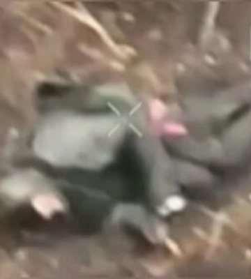 Поранений окупант підірвав себе гранатою на Донеччині. ВIДЕО