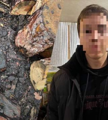 Придушил и сжег, а она выжила: на Харьковщине студент изнасиловал 15-летнюю девочку