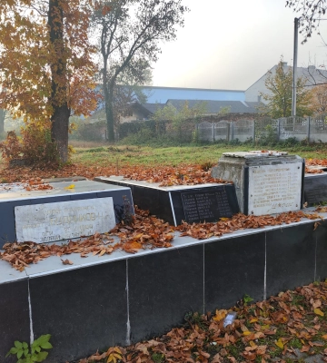 У Тячеві перепоховають залишки полеглих осіб із братської могили в міському парку