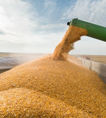 Експорт української агропродукції збільшився на понад чверть