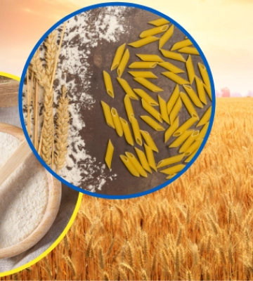 Ринок продуктів переробки зерна: яке місце посідає Україна