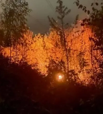 Уламки збитих дронів впали у Дарницькому районі: з&#039;явилося фото наслідків