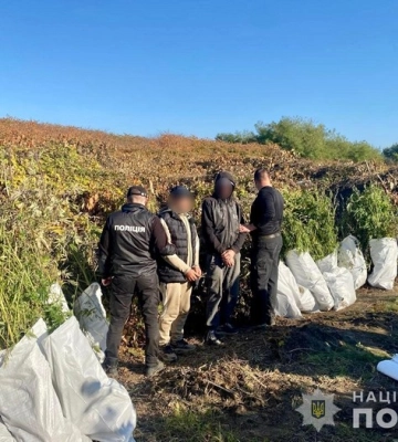 Поліція викрила групу осіб, які виростили плантацію конопель та виготовили наркотиків на майже 800 тисяч гривень