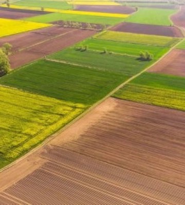 Податок на землю поповнив місцеві бюджети Закарпаття на 503,5 млн гривень
