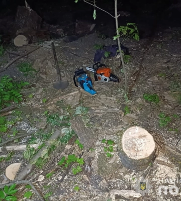 У Недригайлові поліцейські викрили нелегальних лісорубів