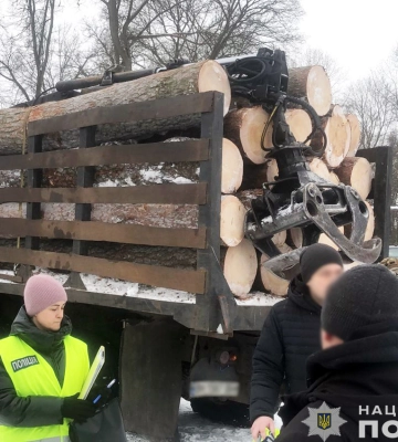 На незаконні порубки лісу на десятки мільйонів гривень на Чернігівщині судитимуть злочинну групу