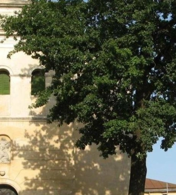 У львівській лікарні, де затримали на хабарі лікарку, звільнили керівницю