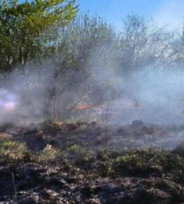 На Львівщині синоптики застерігають про високу пожежну небезпеку найближчими днями
