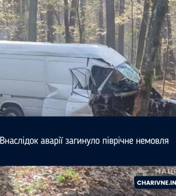 Бус влетів у дерево: у жахливій ДТП загинуло немовля з Рівненщини (ФОТО)