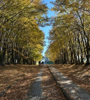 Олеський замок на Львівщині: історія і коли можна відвідати