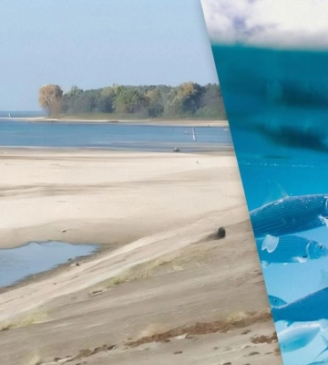 В Киевском море вода рекордно отступила от берега: эколог назвал причины обмеления
