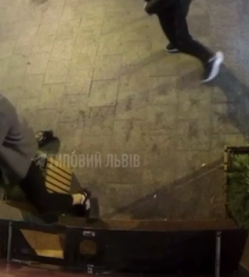 У Львові чоловіки били ногами і ґвалтували туї (відео)