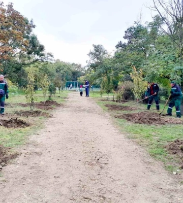 В одеському парку висадили екзотичні дерева