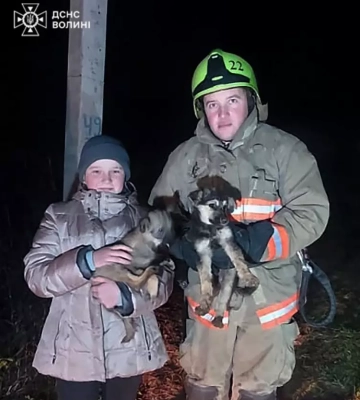 На Волині бійці ДСНС врятували двох цуценят з небезпечної пастки