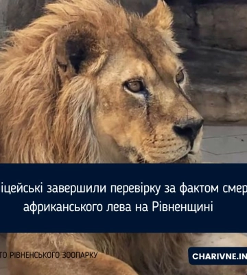 Левиця, тіло якої виявили упереміш зі сміттям на території заводу у Костополі, була з Рівненського зоопарку