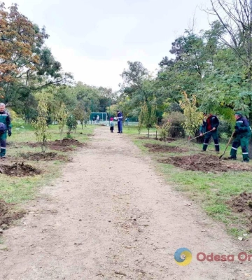 В одеському парку висадили сакуру 