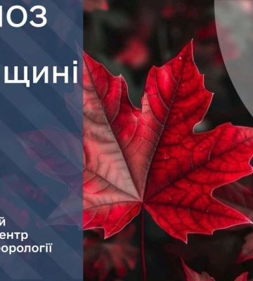 Завтра на Рівненщині - туман та дощ