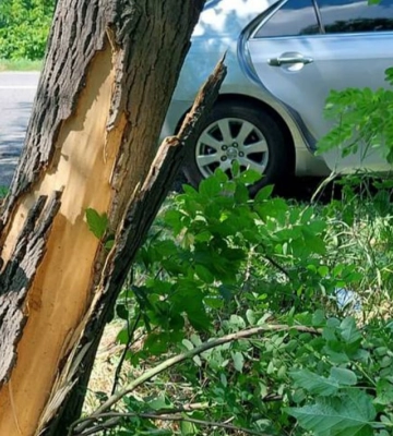 У Луцькому районі п&#039;яний водій врізався у дерево