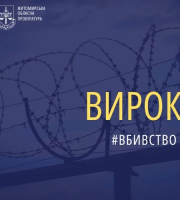 Вбив матір, а потім розчленував та намагався спалити останки - на Житомирщині засуджено нелюда
