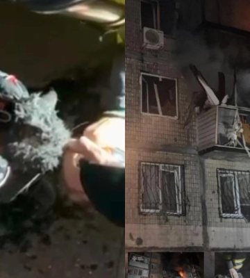 З пошкодженого російським дроном будинку в Києві врятували кота — відео