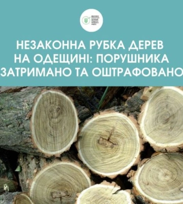 У лісосмузі на Одещині незаконно зрубали дерева