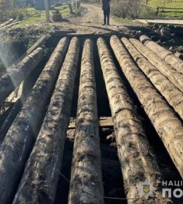 Поліція Закарпаття затримала групу «чорних лісорубів» 
