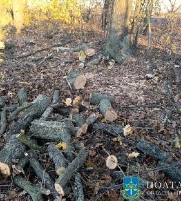На Полтавщині засудили підприємця за масштабну незаконну вирубку дерев на 3 млн грн